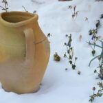 Giardino invernale: piante potate e foglie raccolte per prepararsi al freddo.