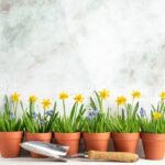 Immagine di un orto primaverile con piante fresche e fiori colorati da piantare ad aprile.